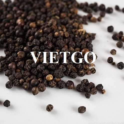 Thương vụ hợp tác xuất khẩu hạt tiêu đến thị trường Ấn Độ