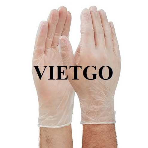Cơ hội xuất khẩu găng tay Vinyl sang thị trường Bahrain  