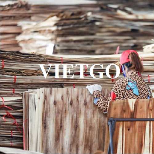 Thương vụ xuất khẩu ván bóc gỗ keo sang thị trường Ấn Độ 