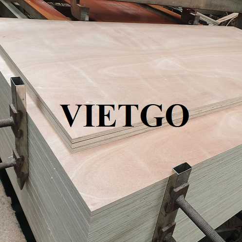 Thương vụ xuất khẩu gỗ dán sang thị trường Ấn Độ 