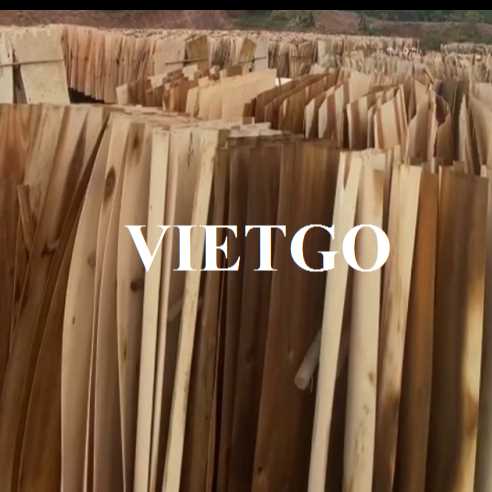 Thương vụ xuất khẩu ván bóc sang thị trường Ấn Độ 