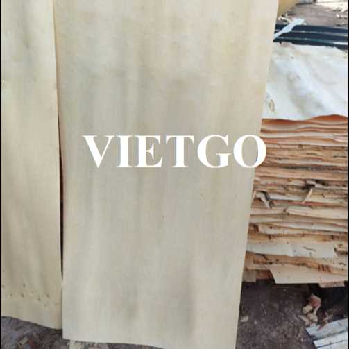 Thương vụ xuất khẩu ván bóc sang thị trường Ấn Độ 