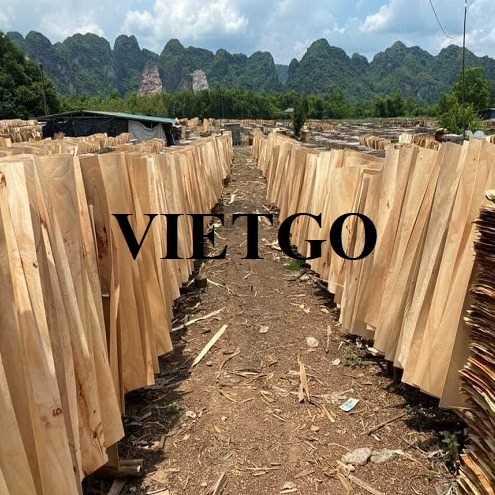 Thương vụ xuất khẩu sản phẩm ván bóc đến thị trường Ấn Độ
