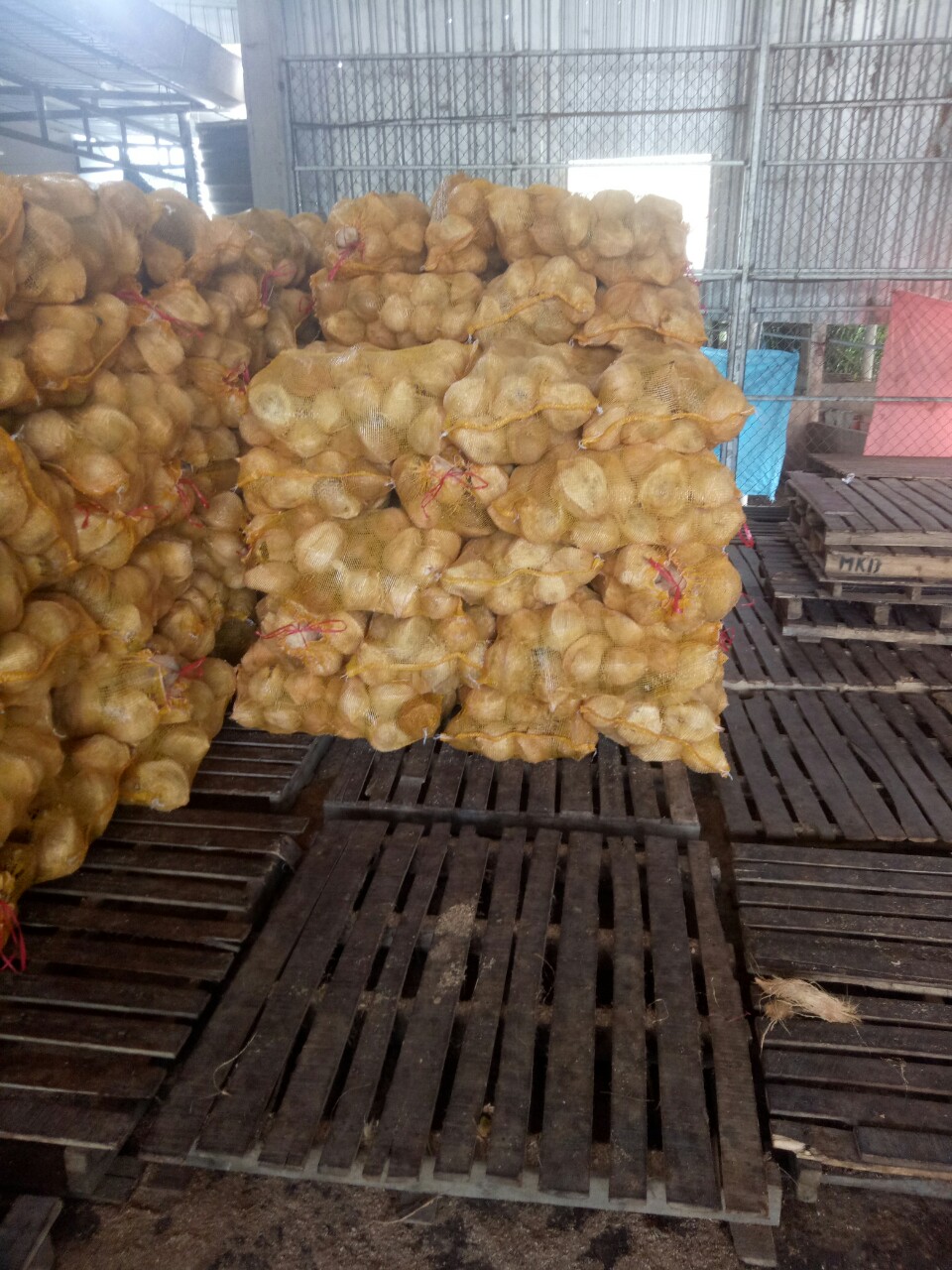 CTY TNHH GO FOR IT CẦN TÌM NHÀ VẬN CHUYỂN HÀNG HÓA ĐƯỜNG BIỂN SANG THỊ TRƯỜNG ẤN ĐỘ