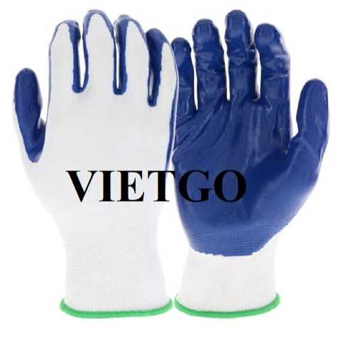 Cơ hội xuất khẩu găng tay lao động sang thị trường Mỹ với số lượng lớn