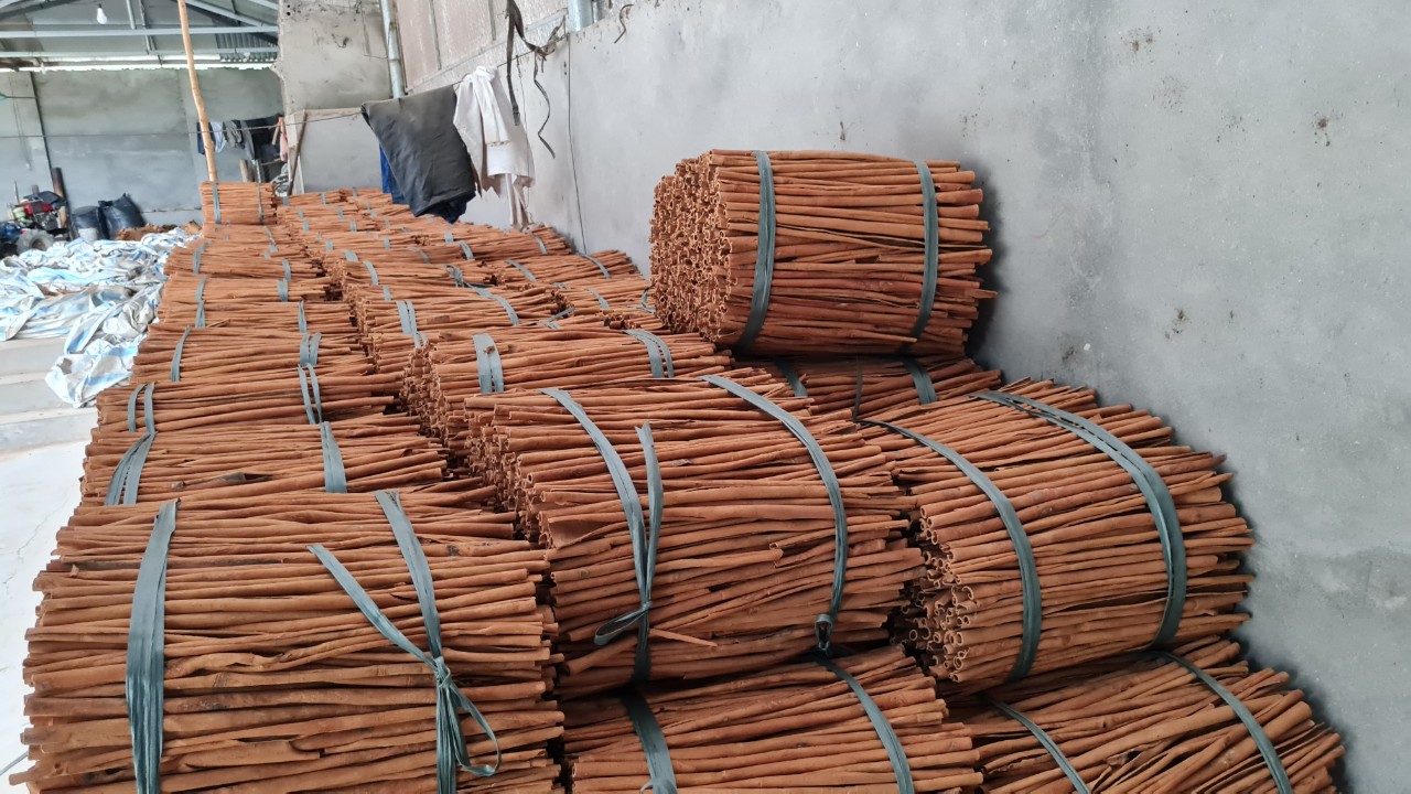Công ty XNK MINH SƠN cần tìm cước vận tải cho hàng Quế đi Ấn Độ