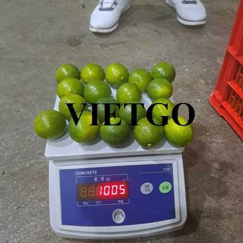 Cơ hội hợp tác xuất khẩu chanh sang thị trường UAE
