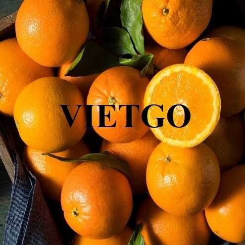 Cơ hội hợp tác xuất khẩu cam đầy hấp dẫn đến thị trường Ý