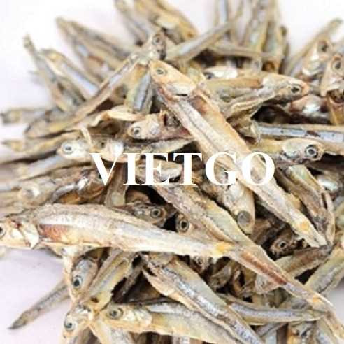 Cơ hội giao thương xuất khẩu cá cơm khô sang thị trường Ấn Độ