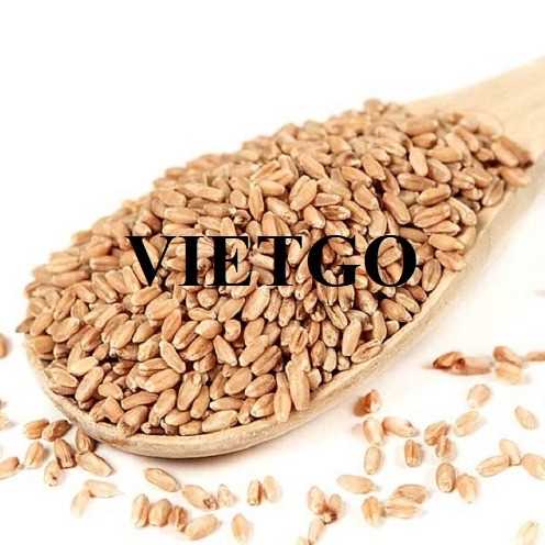 Cơ hội hợp tác xuất khẩu lúa mì đầy hấp dẫn sang thị trường Indonesia