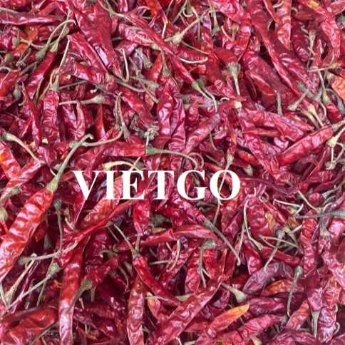 Cơ hội hợp tác xuất khẩu ớt đến từ vị khách hàng tại Ba Lan