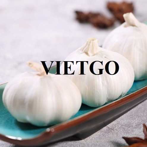 Cơ hội hợp tác xuất khẩu tỏi đến thị trường Sri Lanka