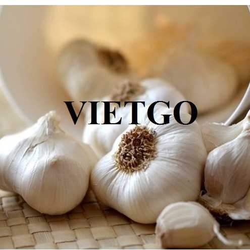 Cơ hội xuất khẩu tỏi đến thị trường Thổ Nhĩ Kỳ