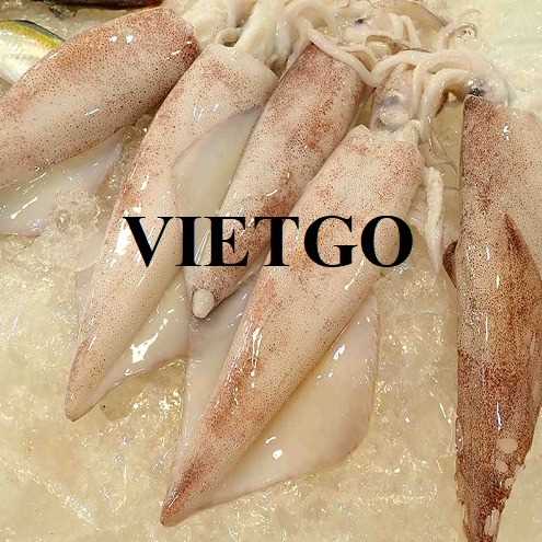 Cơ hội xuất khẩu mực sang thị trường Đài Loan