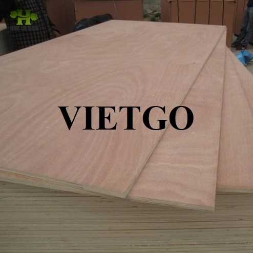 Thương vụ xuất khẩu gỗ dán sang thị trường Ấn Độ 