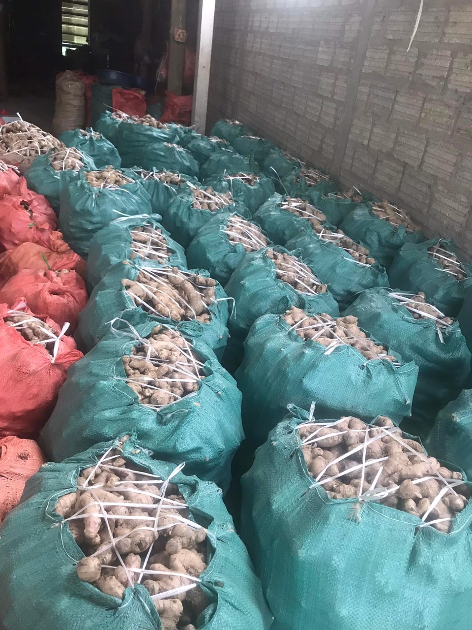 Công ty TNHH Sapa Green cần tìm cước vận tải cho mặt hàng gừng tươi đi Bangladesh và Pakistan