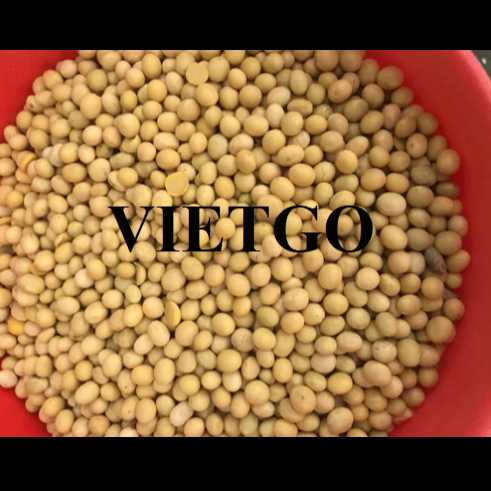 Cơ hội hợp tác xuất khẩu đậu nành sang thị trường Sri Lanka
