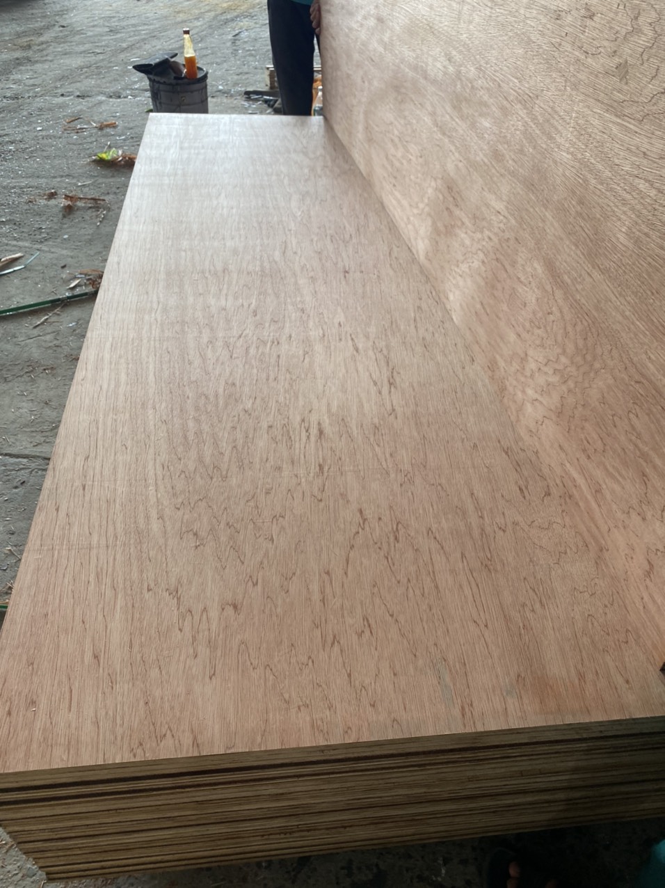 Công ty TNHH Global Dream cần tìm nhà vận tải biển sản phẩm Plywood sang Ấn Độ