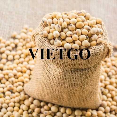 Cơ hội hợp tác xuất khẩu đậu nành sang thị trường Trung Quốc