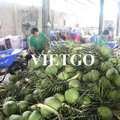 Cơ hội hợp tác xuất khẩu dừa tươi đầy hấp dẫn sang thị trường Hy Lạp