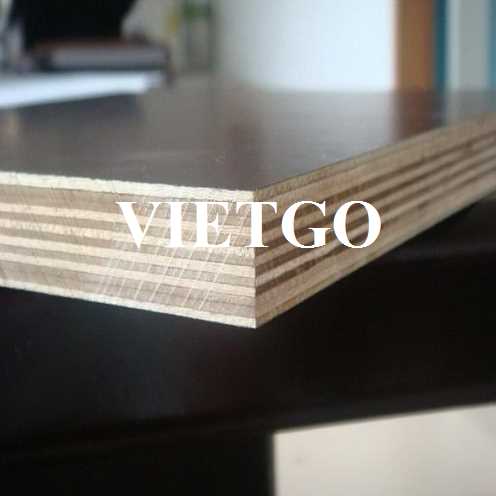  Thương vụ xuất khẩu gỗ dán phủ phim sang thị trường Ấn Độ 