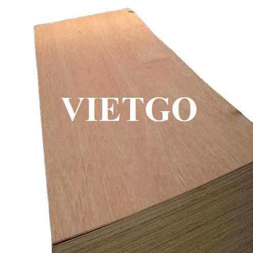 Thương vụ xuất khẩu gỗ dán đến thị trường Ấn Độ