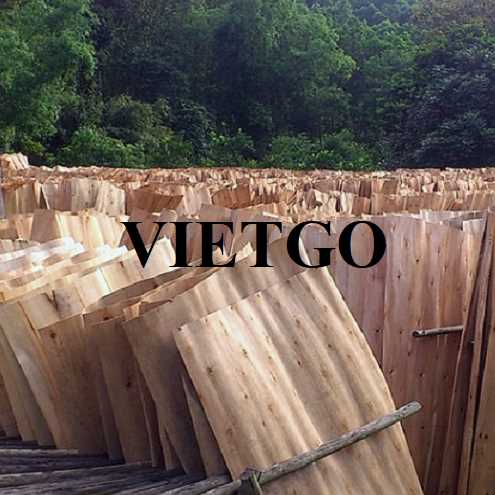 Thương vụ xuất khẩu ván bóc sang thị trường Ấn Độ 