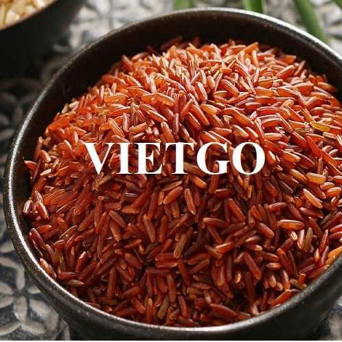 Cơ hội xuất khẩu gạo sang thị trường Brazil