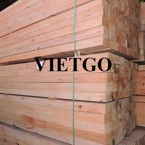 Cơ hội xuất khẩu gỗ bạch đàn xẻ sang thị trường Thổ Nhĩ Kỳ