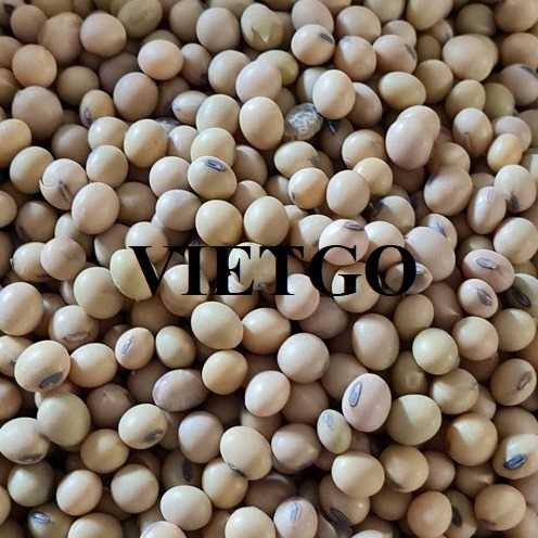 Thương vụ hợp tác xuất khẩu đậu nành sang thị trường Trung Quốc