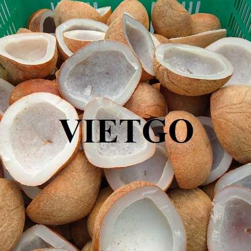 Cơ hội hợp tác xuất khẩu dừa đến thị trường Myanmar