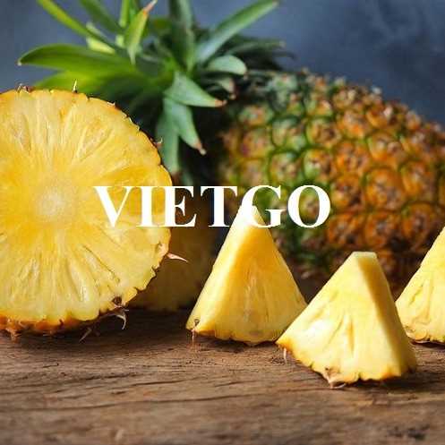 Thương vụ hợp tác xuất khẩu dứa sang thị trường Hàn Quốc