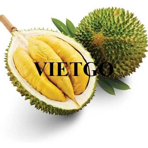 Cơ hội hợp tác xuất khẩu sầu riêng sang thị trường Trung Quốc