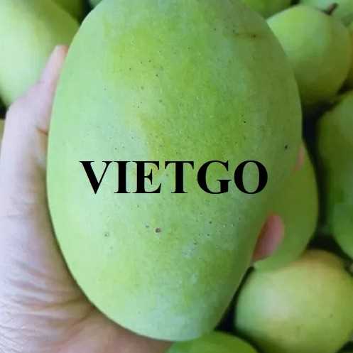 Cơ hội hợp tác xuất khẩu xoài đầy hấp dẫn cùng vị khách hàng người Mỹ