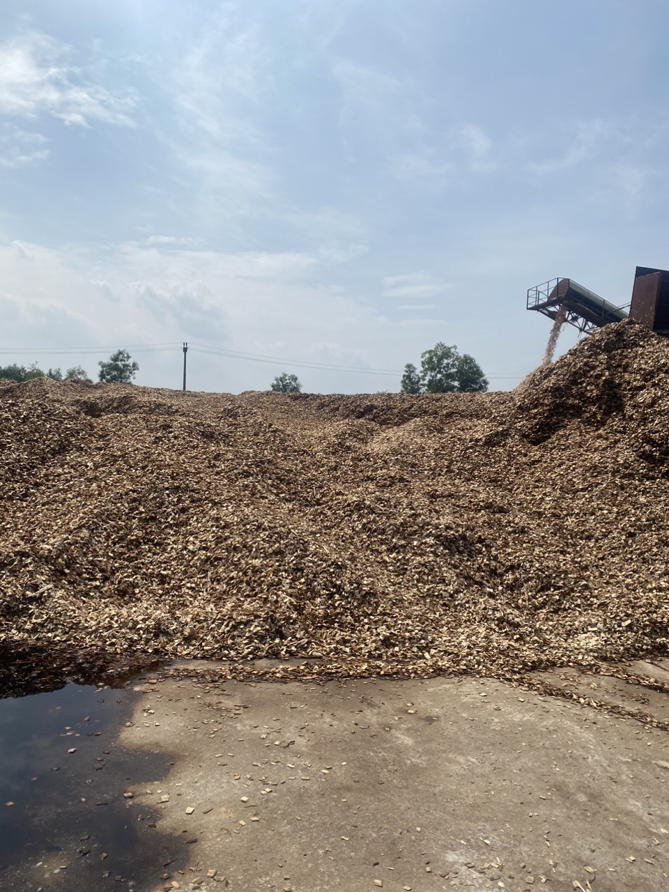 Công ty TNHH Nguyệt Minh Ánh cần tìm đơn vị vận tải biển vận chuyển mặt hàng gỗ dăm đi Trung Quốc