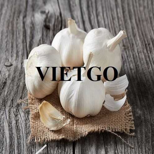 Cơ hội xuất khẩu tỏi sang thị trường Ấn Độ