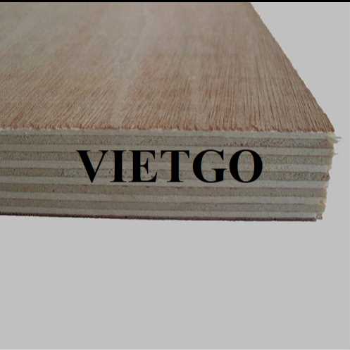 Thương vụ xuất khẩu gỗ dán sang thị trường Ấn Độ 