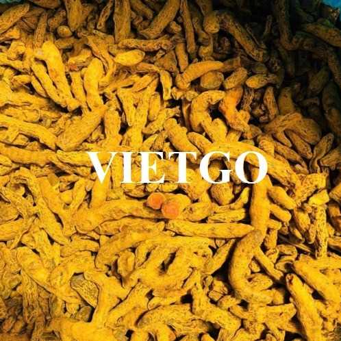 Cơ hội hợp tác xuất khẩu nghệ đến thị trường Bangladesh