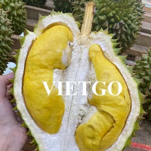 Thương vụ hợp tác xuất khẩu sầu riêng sang thị trường Trung Quốc