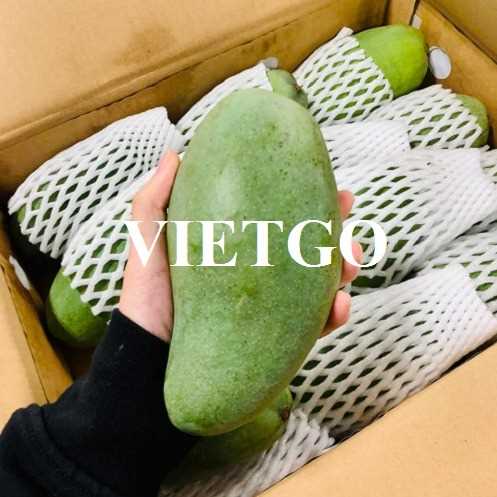Cơ hội xuất khẩu sản phẩm xoài sang thị trường Mỹ và Bangladesh