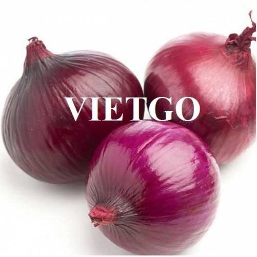 Cơ hội hợp tác xuất khẩu hành sang thị trường Israel