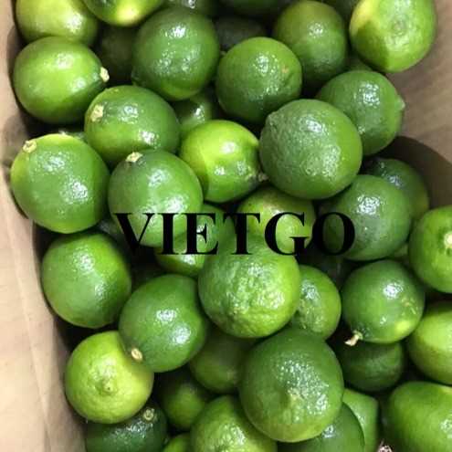 Cơ hội xuất khẩu chanh sang thị trường Malaysia