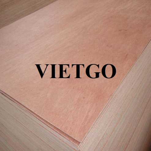 Thương vụ xuất khẩu gỗ dán sang thị trường Ấn Độ 