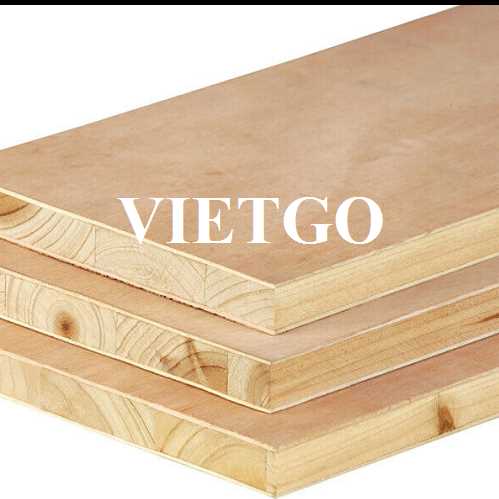 Thương vụ xuất khẩu ván block board sang thị trường Ấn Độ 