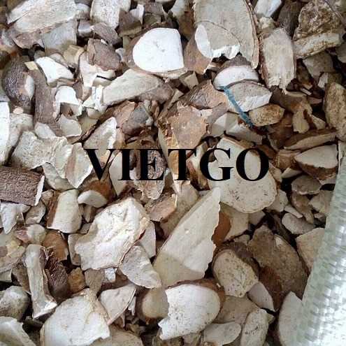 Thương vụ hợp tác xuất khẩu sắn lát sang thị trường Trung Quốc