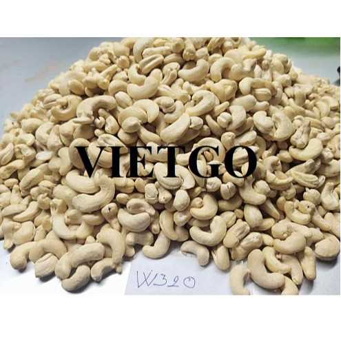 Cơ hội hợp tác xuất khẩu hạt điều đầy hấp dẫn đến thị trường Nga