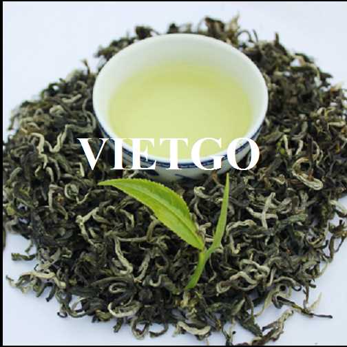 Thương vụ xuất khẩu chè xanh đến thị trường Pakistan
