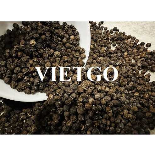 Cơ hội hợp tác xuất khẩu hạt tiêu đầy hấp dẫn sang thị trường Ai Cập
