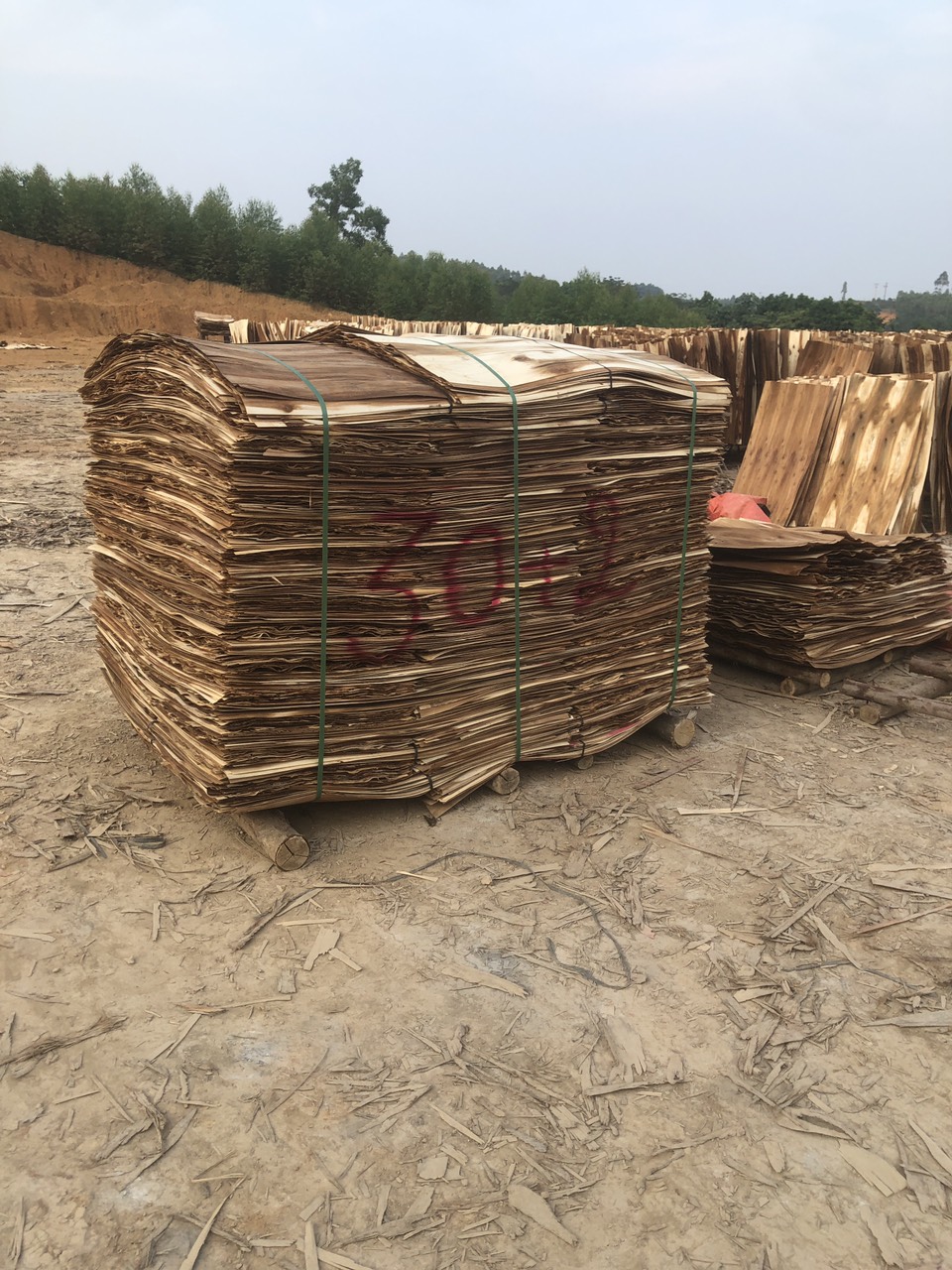 Công Ty TNHH đầu tư phát triển thương mại và dịch vụ Hoàng Anh cần tìm đơn vị vận tải biển vận chuyển mặt hàng ván bóc đi Ấn Độ