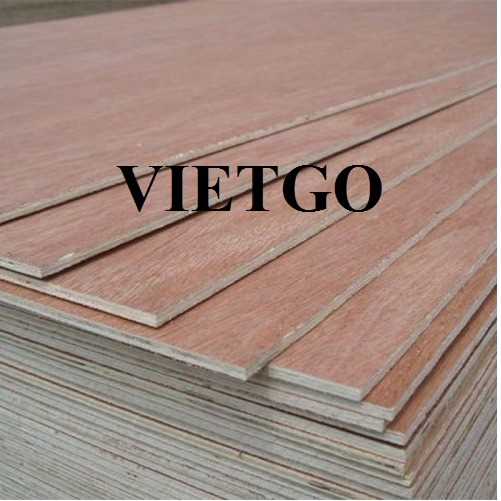 Thương vụ xuất khẩu gỗ dán đến thị trường Ấn Độ